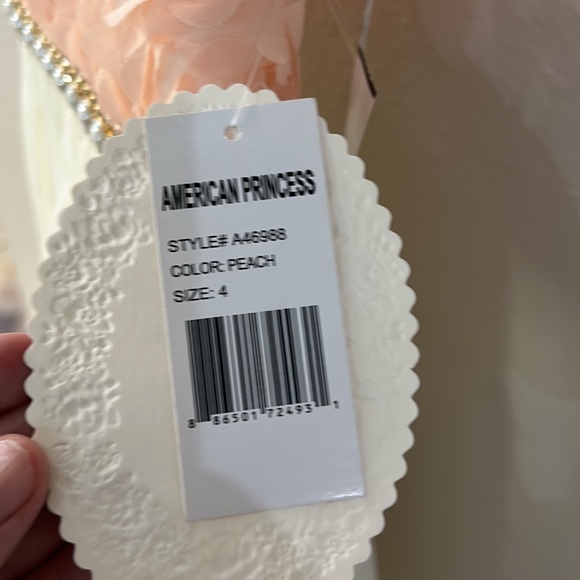 American Princess Dress - Picture 4 of 4